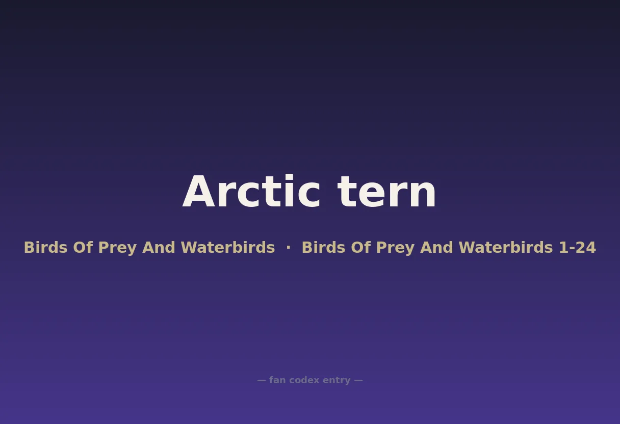 Arctic tern