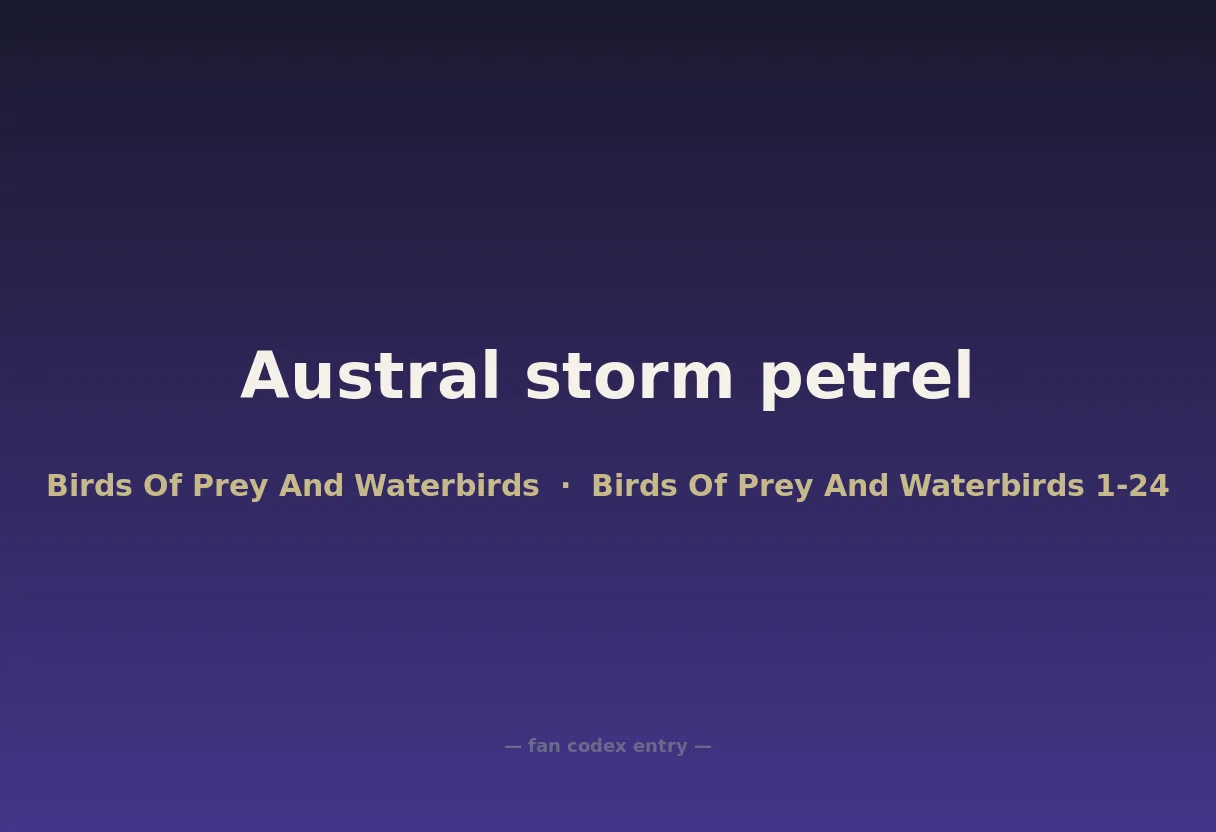 Austral storm petrel