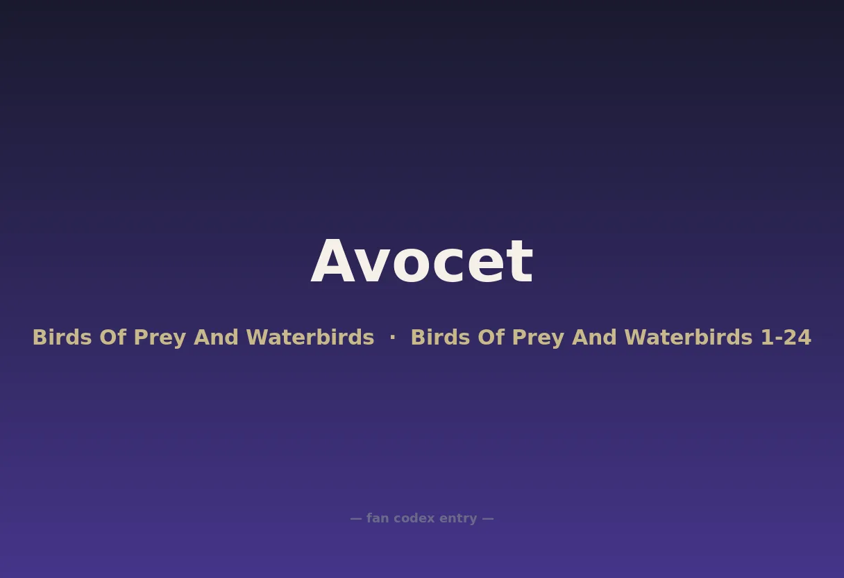 Avocet