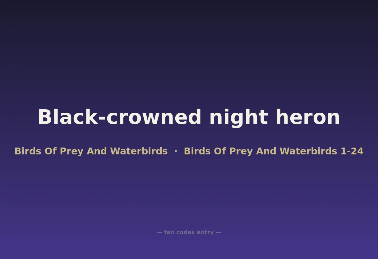 Black-crowned night heron
