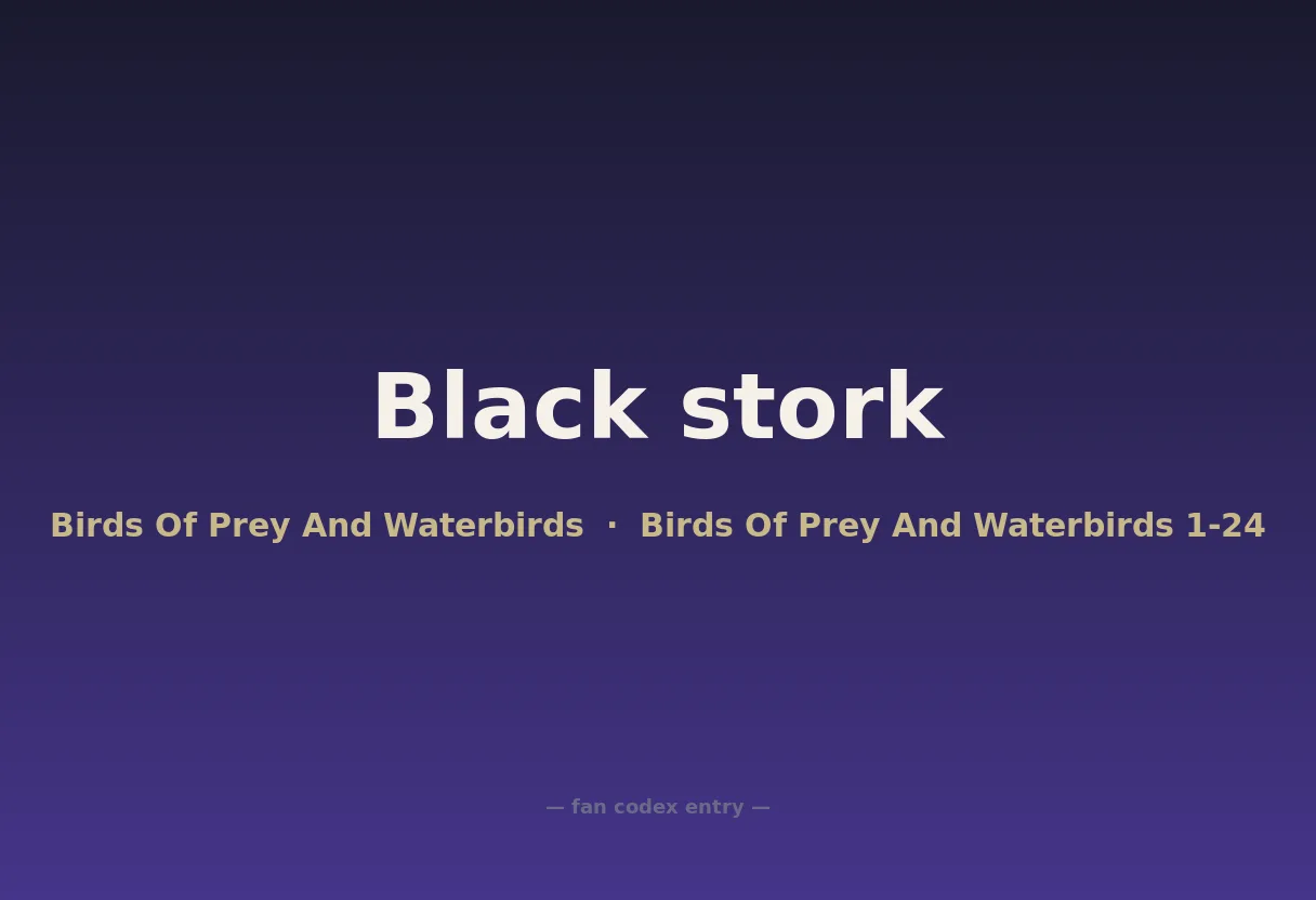 Black stork