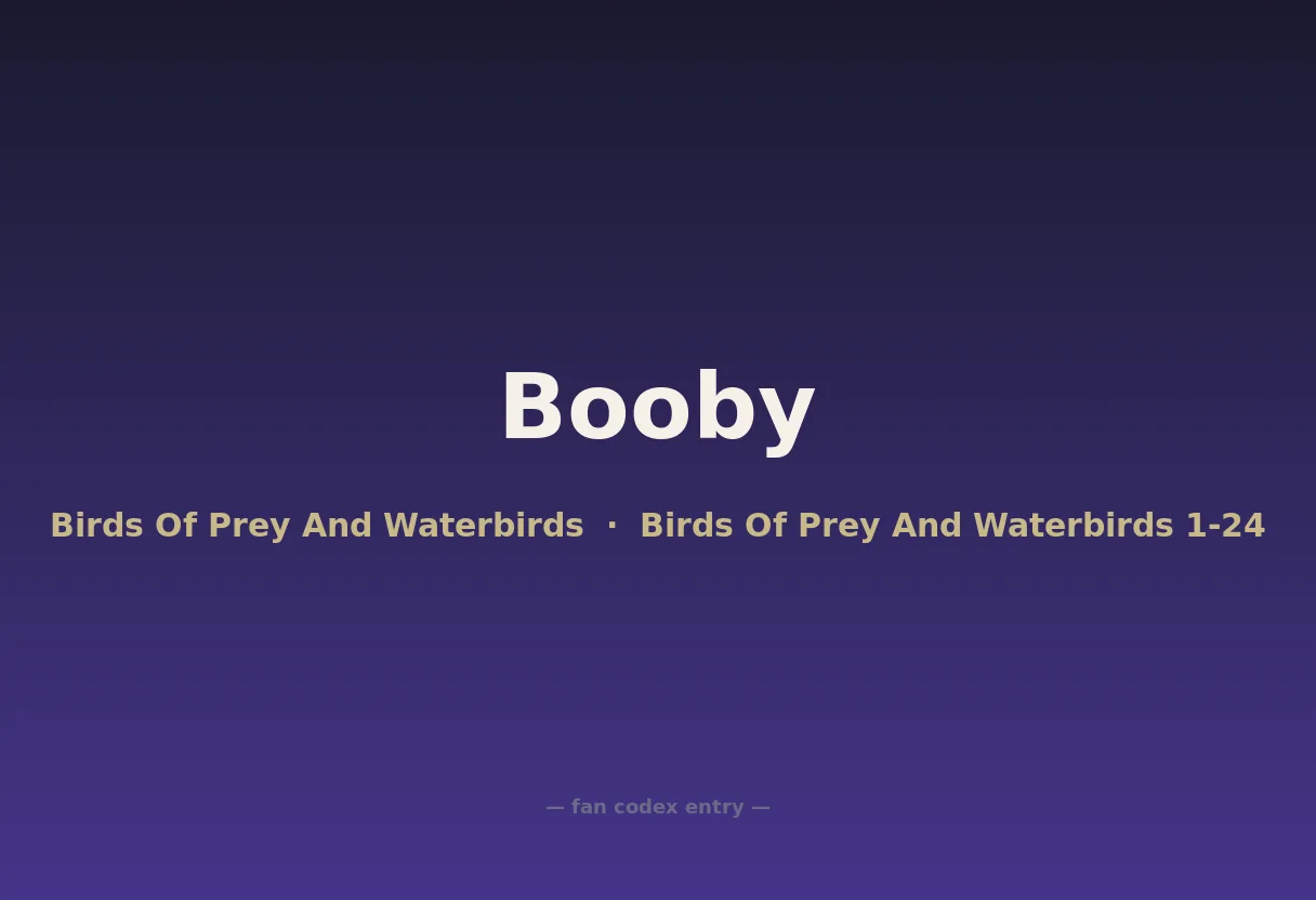 Booby