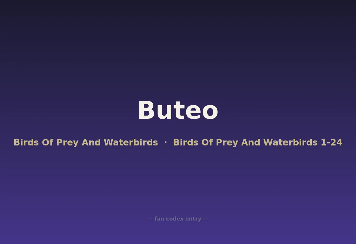 Buteo