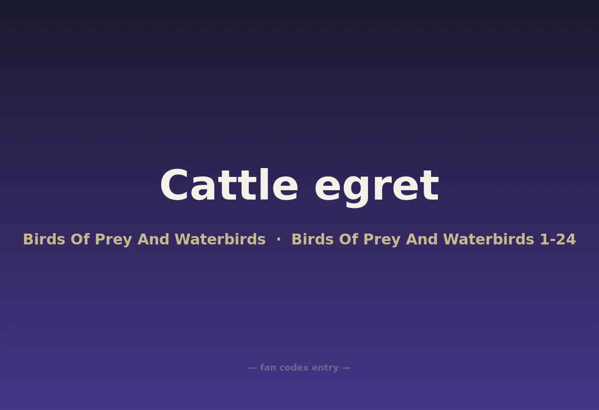 Cattle egret