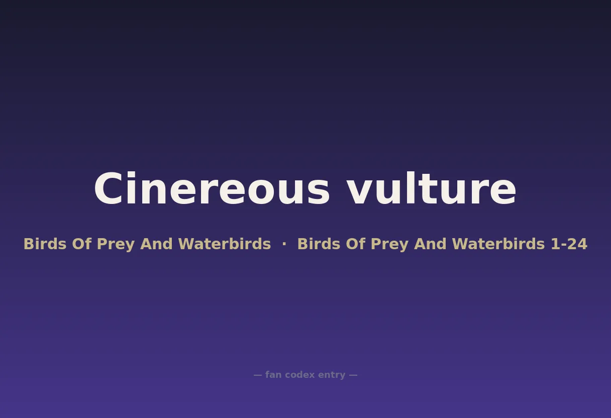 Cinereous vulture