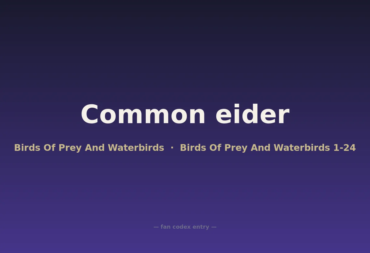 Common eider